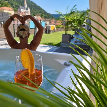 Dreamliner Mit Whirlpool Und Garten